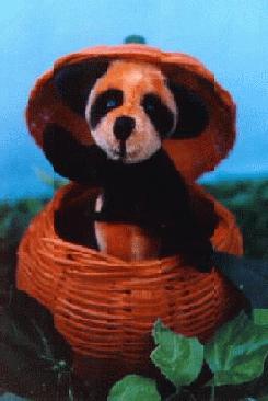 Pandkin(14K)