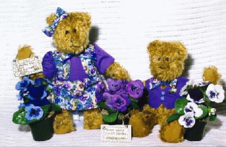 Pansy (30K)
